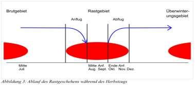 33 Fallbeispiel Bekassine Ausgangsvoraussetzung: VSG, u.a. für Limikolen in > 3.000m Entfernung zu einem Höhenzug (ca.