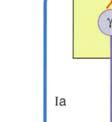 Der Eigenreflex ist dadurch charakterisiert, dass Sensor und Effektor imm selben Organ liegen.