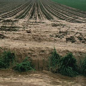 Schadstoffe in Böden Schadstoffe gelangen durch menschliche Aktivitäten in den Boden.