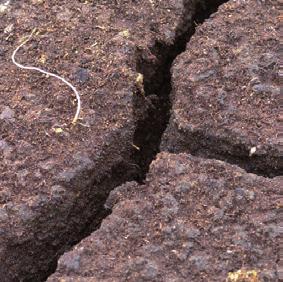 Moorböden sind wichtige Speicher des Treibhausgases Kohlendioxid.
