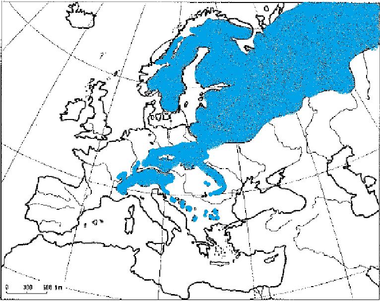 Temperaturen deutlich besser zurecht aber