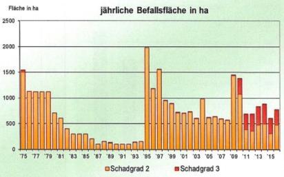 kollinen Bereich