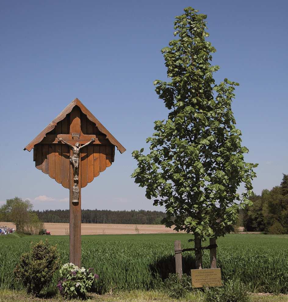 Die Mittagsrast dauert bis 12 Uhr. Mit dem Engel des Herrn setzt sich der Pilgerzug vom Marktplatz aus wieder in Bewegung.