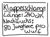 unterschiedlich? Wie hast du die Info-Karten angeordnet?