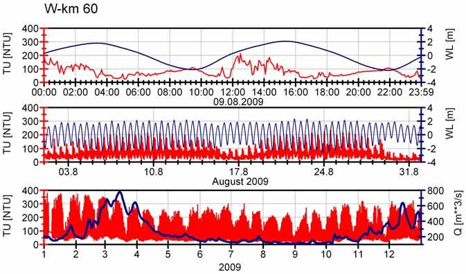 Einführung Trübungszone Beobachtete zeitliche Variabilität Trübungsmessungen am Messpfahl Blexen (Weser-km 62,5) Dynamik auf unterschiedlichen Zeitskalen Tidezyklus