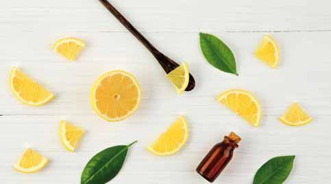 Ablenkbarkeit und Zerstreutheit: Zitrusöle (Grapefruit, Limette, Mandarine, Orange, Zitrone) Freude und Leichtigkeit! Wacholderöl süß, würzig und herb. Es bündelt die Gedanken mit Fokus auf ein Ziel.