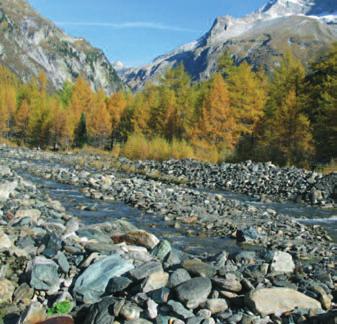 Seebach im Dorfertal Im hintersten Dorfertal entspringt auf ca. 2.000 m Höhe, am Fuße des Dorfer Sees der Seebach, der ab dem Kalser Tauernhaus Dorferbach genannt wird.