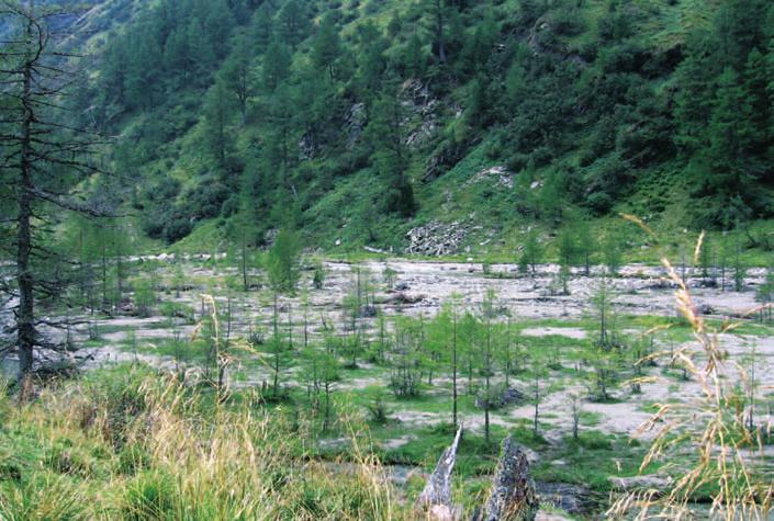 Hochwasserschäden Rumesoi-Ebene Foto: NPHT, F. Jurgeit Vom Hochwasser betroffen waren der Dorferbach und Seebach ab der Einmündung des Laperwitzbaches, sowie alle Quellbäche in der Rumesoi Ebene.