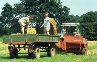 Fairness / Gerechtigkeit Dazu gehört (aus 1980/81): den landwirtschaftlichen Nutztieren Lebensbedingungen zu ermöglichen, die