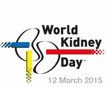 2015, Schaan World kidney day 2015 Nierenerkrankungen sind häufig (%), schädlich (Kardiovaskulär, Nierenerkrankung, Nierenersatz) und behandelbar Public health Problem 2006: Are your kidneys ok?