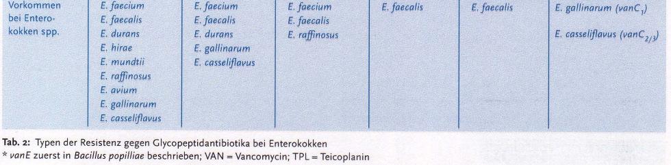 Die Glykopeptid-Resistenz der Enterokokken wird in drei (kilinisch relevante) Hauptklassen (s. Abb.