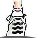 Fußtyp, Beinstellung und Pronation NORMALFUSS HOHLFUSS SENKFUSS Läufer mit Normalfuß, setzen im Rückfußbereich
