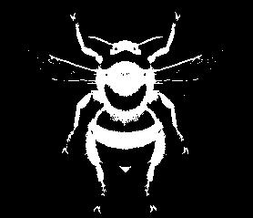Apidae 1 Allgemeiner Teil, Gattungen, Apis, Bombus / Partie