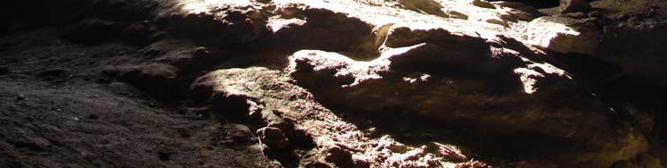 2006: 1 Braunes Langohr (Plecotus auritus) und 4 Langohren (Plecotus sp.) in der Kleinen Steyreggerhöhle, Steyregg 02.12.