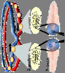 LHC-Parameter 7 TeV + 7 TeV Energie Bunch-Kollisionen: 40 MHz = 40 Mio Kollisionen pro s oder 1