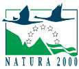 Impressum Managementplanung Natura 2000 im Land Brandenburg Managementplan für das Gebiet Fredersdorfer Mühlenfließ, Breites und Krummes Luch Landesinterne Melde Nr. 348, EU-Nr.
