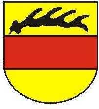 Stadt Sulz am Neckar Satzung für die Freiwillige Feuerwehr Sulz am Neckar mit Abteilungen (Feuerwehrsatzung FwSAbt) Aufgrund von 4 der Gemeindeordnung in Verbindung mit 6 Abs.1 Satz 3 und Abs.