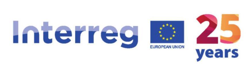 Entwicklung von INTERREG INTERREG I 1990 1993 (rd. 1,1 Mrd. ) INTERREG II 1994 1999 (rd. 3,3 Mrd.