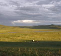 15. Tag: Durch die Steppe Durch eine abwechslungsreiche Steppen- und Flusslandschaft geht es nun wieder in Richtung Ulaanbaatar.