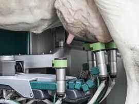 GEA DairyProQ: GEA Melkplatz-Modul Intelligentes, selbständig agierendes Melkplatz-Modul für