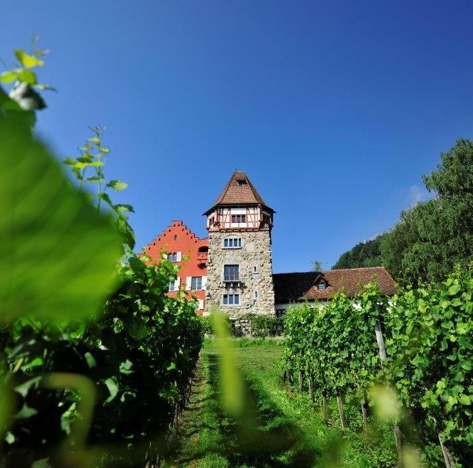 Sehenswürdigkeiten Hauptort Vaduz: Schloss Vaduz, Fürstliche Hofkellerei, Museen, Schatzkammer, City Train Tour, Mittel- und