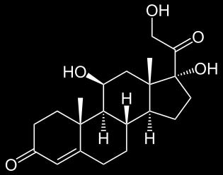 Cortisol - Regulation des Kohlenhydrat-, Fett- und Protein-Stoffwechsels - entzündungshemmende und immunsuppressive Wirkung