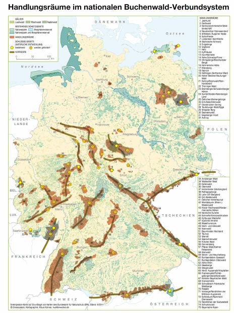Greenpeace - Deutschlands internationale Verantwortung: Rotbuchenwälder im Verbund schützen Gegenargumente: einseitig ausgerichtetes Konzept wenig effektiv, da erst sehr langfristig wirksam für