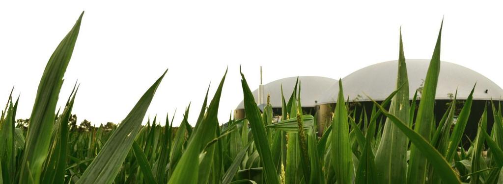 8. Triesdorfer Biogastag Neue Entwicklungen in