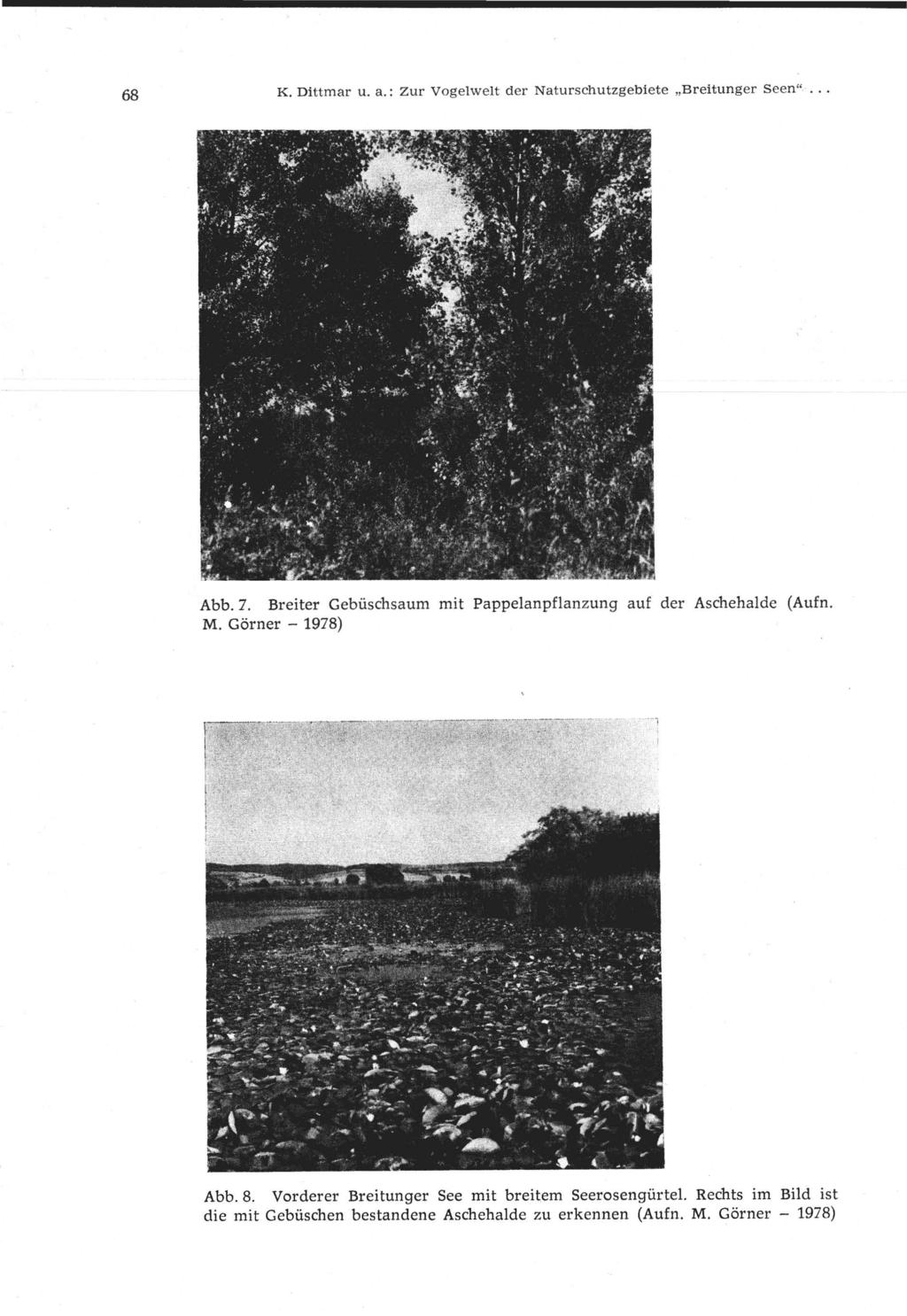 68 K. Dittmar u. a.: Zur Vogelwelt der Naturschutzgebiete "Breitunger Seen"... Abb. 7. Breiter Gebüschsaum mit Pappelanpflanzung auf der Aschehalde (Aufn. M.