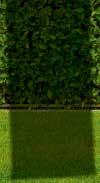 Anthrazit 45620179 14.99 Greige 45620183 14.99 Fresh green 45620184 14.99 Auflage Living Baumwolle/Polyester, ca. 6 cm stark, mit Stehsaum, Halteband und Bindebändern. Z. B. für Sessel hoch.