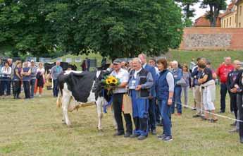Juni 2016) trotz der anhaltenden Milchkrise auf das Stavenhagener Schlossgelände gekommen waren, um den Besuchern einige ihrer Kühe zu zeigen.