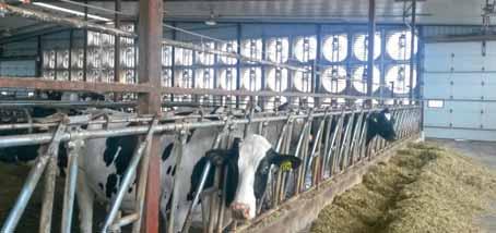 Dort trafen sich Experten aus der Milchviehbranche, zum Austausch über neueste Forschungen und daraus resultierende Erkenntnisse für die Milchviehproduktion.