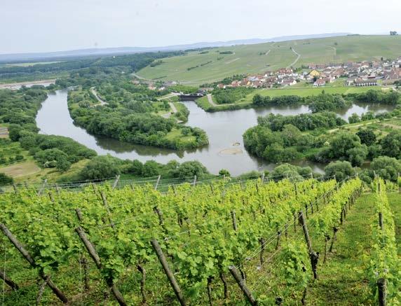 Weinbau in Franken bei einem Hinweis auf die Gärung, den Ausbau oder die Reifung im Barrique darf das Barrique-Fass ein Fassungsvermögen von nicht mehr als 350 Litern haben.