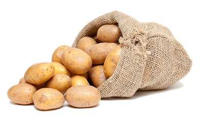 200 Jahre später Kartoffel Durchbruch Nahrungsmittel. Verbreitung: Kartoffeln werden weltweit angebaut. Kartoffeln recht genügsam. wachsen schlechten Böden und guten, Wetter meist auch egal.