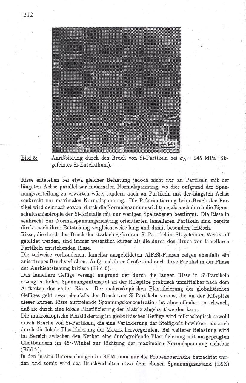 212 Bild 5: Anrißbildung durch den Bruch von Si-Partikeln 'bei (JN= 245 MPa (Sbgefeintes Si-Eutektikum).