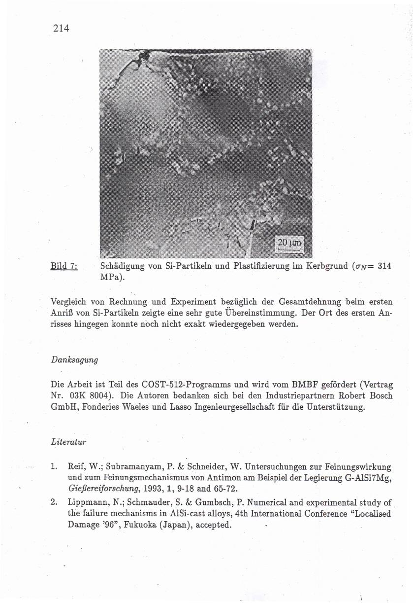 214 Bild 7: Schädigung von Si-Partikeln und Plastifizierung im Kerbgrund (ern= 314 MPa).
