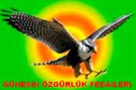 Zentral gesteuerte europaweite Aktionen Die Reaktion der PKK entsprach der bei früheren Rückzügen Öcalans: Verschiedene Organisationsteile riefen zum Aufstand und zu Aktionen vor allem der