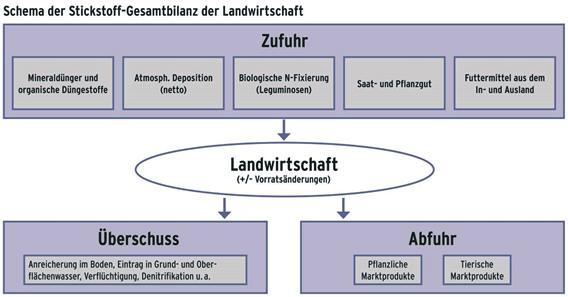 Drucksache 18/3995 56 Deutscher Bundestag 18. Wahlperiode Aussage Von 1991 bis 2011 ist der jährliche Stickstoffüberschuss von 130 auf 101 kg/ha gesunken (gleitendes Dreijahresmittel).