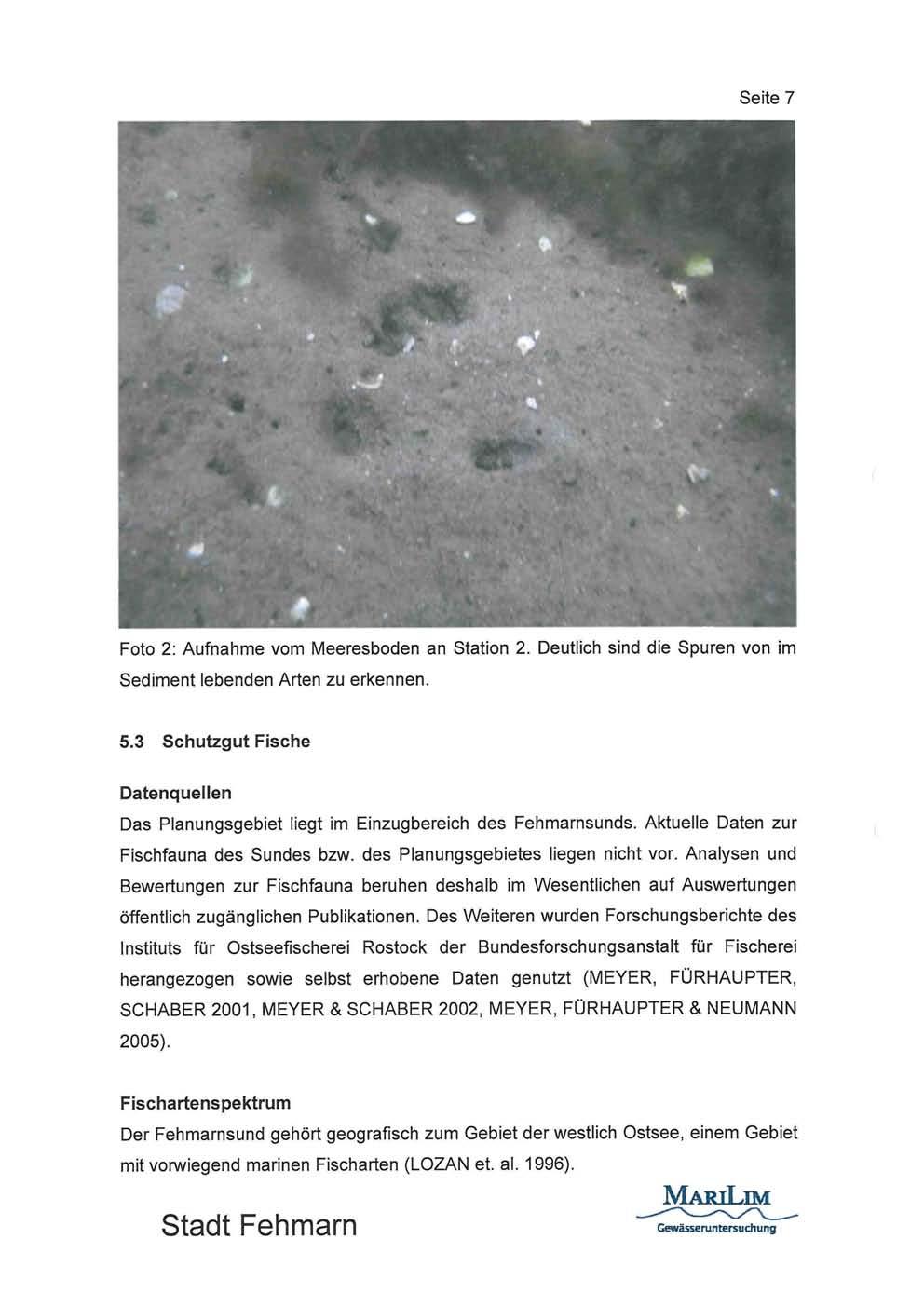 Seite 7 Foto 2: Aufnahme vom Meeresboden an Station 2. Deutlich sind die Spuren von im Sediment lebenden Arten zu erkennen. 5.