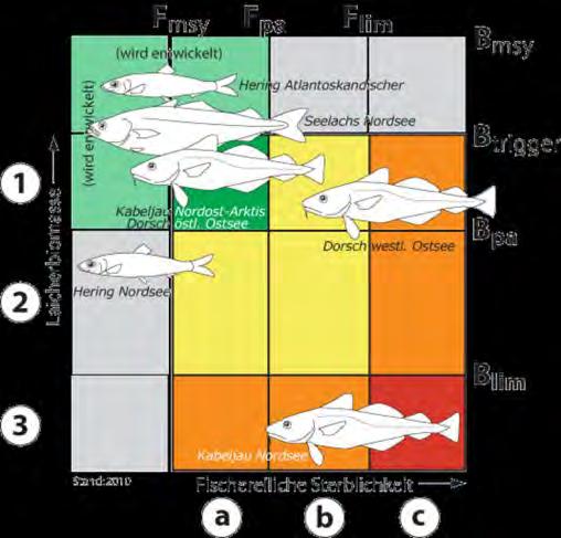 Das MSY-Prinzip Graham s Theorie der nachhaltigen Fischerei (1935) nicht überfischt überfischt Wenn die Entnahme der Fische durch die Produktion ersetzt werden kann, ist die Fischerei nachhaltig.