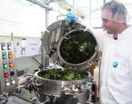 FEATURE ARTICLE F1 Pharma-Planta breaking new ground in pharmaceutical manufacturing Pharma-Planta was an EU Sixth Framework Integrated Project that ran from 2004 to 2011 under the coordination of