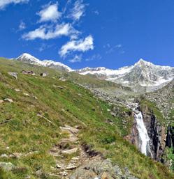 Furtschaglhaus (2295 m) (2044 m) Berliner Hütte Auf gutem Weg zum Grashang oberhalb der Hütte und gleichmäßig ansteigend nordöstlich Richtung Schönbichler Horn.