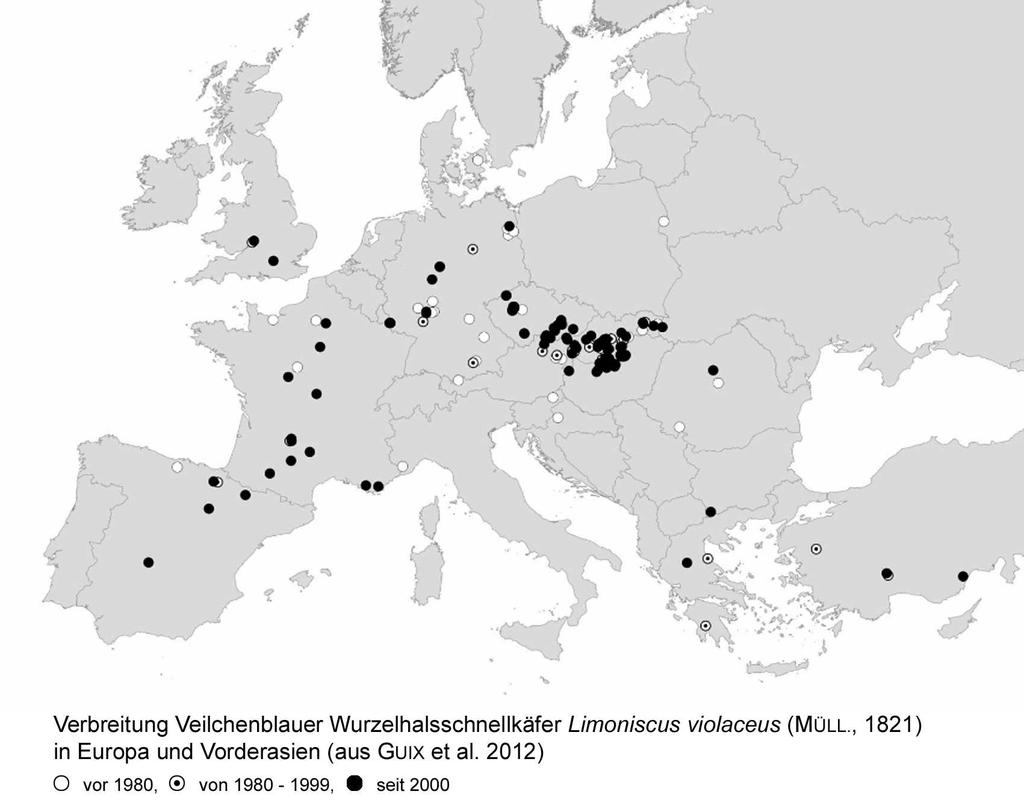 Limoniscus violaceus (MÜLLER. 1821) 7 4. Allgemeine Verbreitung 4.