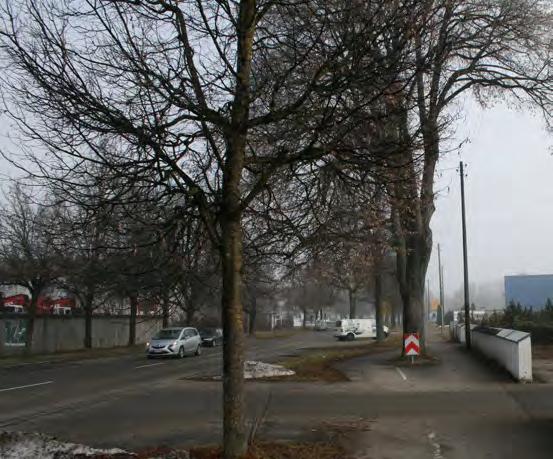 Beruhigte und begrünte Fahrradstraße im Vorfeld der Kirche Mariä Himmelfahrt (1) - Verkehrsstraße mit