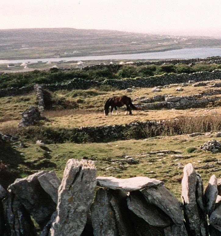 ...uns staunend wundern Donegal Sligo Aran/Galway Glendalough Aran birgt heute die Überreste von 10 keltischen Klöstern und 13 keltischen Heiligen.