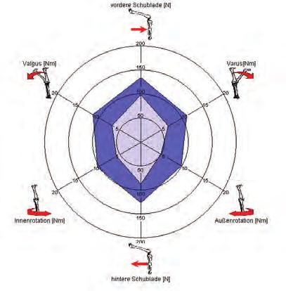 Stabilisierende Eigenschaften der Hypex Lite Knieschiene 1 Hoher Muskeltonus Bei den hier untersuchten Stabilisierungseigenschaften der Hypex Lite Knieschiene lagen alle beurteilten Parameter