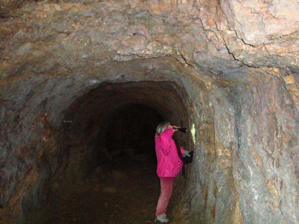 Im Basalt, Kerngranit und Zinngranit wurden bisher keine Keller gefunden, im Bereich der Kellergasse am Katharinenberg wechselt der Kalkdolomit mit dem Phyllit und stellt das größte Winterquartier im