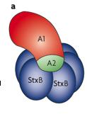 Wirkmechanismen A1 Einheit: - RNA