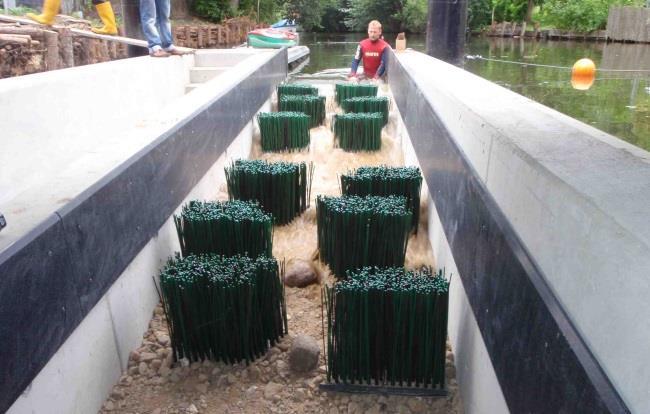 Beispiele aus der Praxis Errichtung eines Fisch-Kanu-Passes am Havelwehr in Fürstenberg Landkreis Oberhavel Verbesserung der Wanderbedingungen für Tiere UND Wassersportler Zur