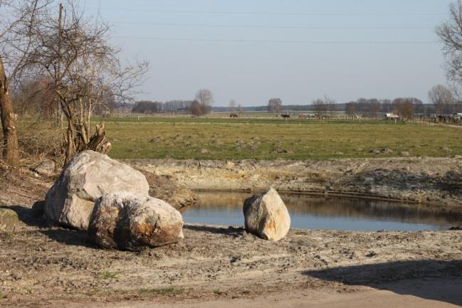 Beispiele aus der Praxis Biotopverbessernde Maßnahmen im Spargelanbaugebiet Beelitz Landkreis Potsdam-Mittelmark Anlage von drei Kleingewässern als Laichgewässer für